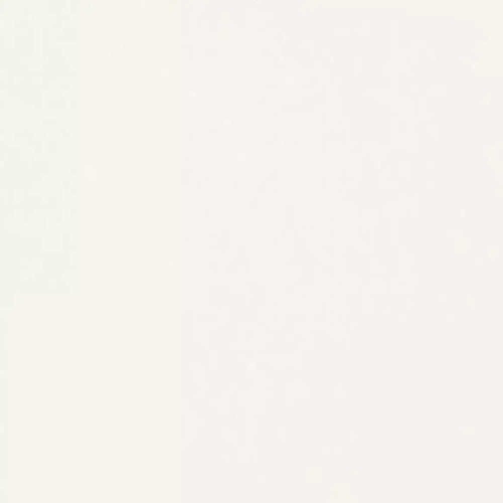 ЛДСП 25 мм W960 Белый классический 2800*2070 SM