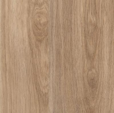 ЛДСП Дуб Медовый 16 мм 2750*1830 FO