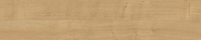 Кромка ABS 0,8*19 мм H3303 Дуб Гамильтон натуральный ST10