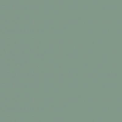 Панель EVOGLOSS  Р010  Матовая Мята 18*2800*1220